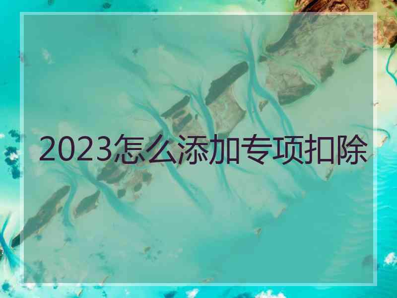 2023怎么添加专项扣除