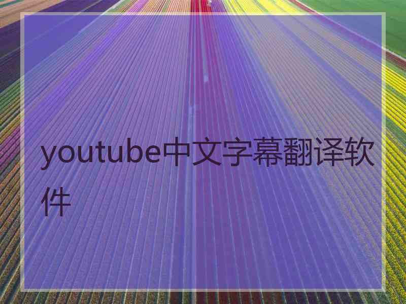 youtube中文字幕翻译软件