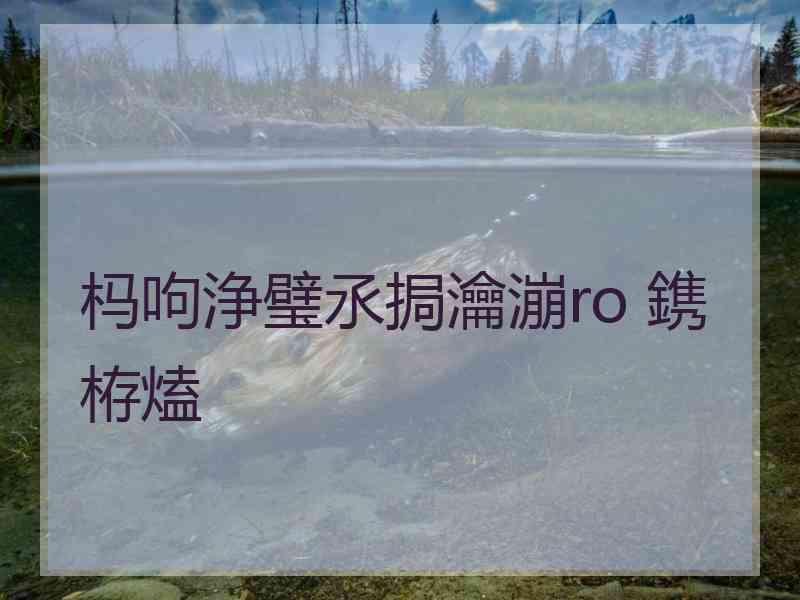 杩呴浄璧氶挶瀹漰ro 鎸栫熆