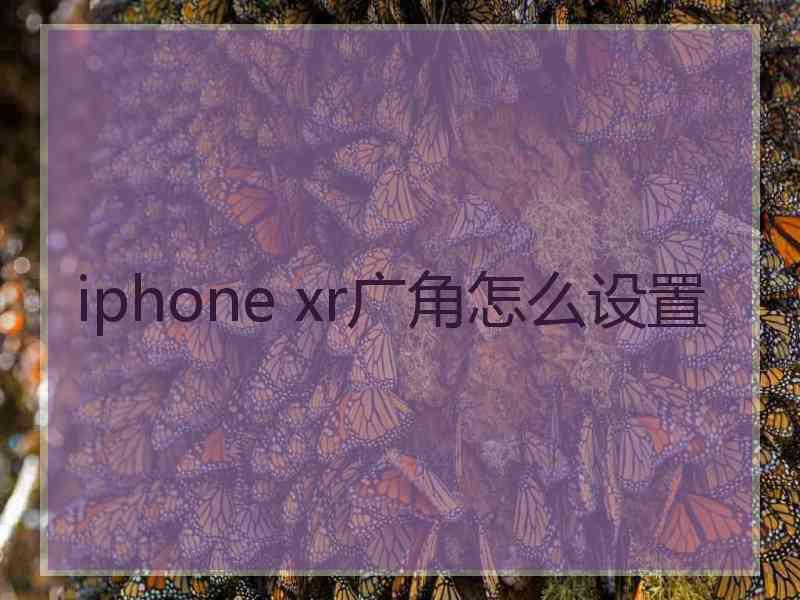 iphone xr广角怎么设置