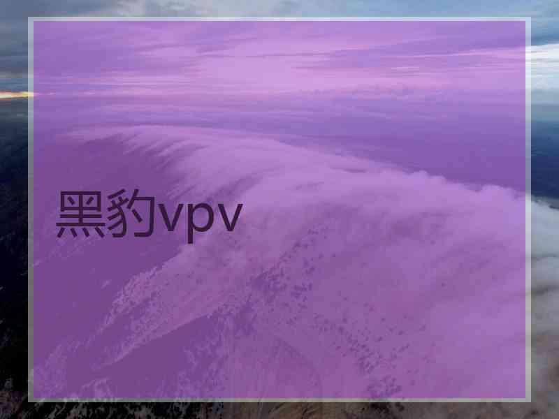 黑豹vpv