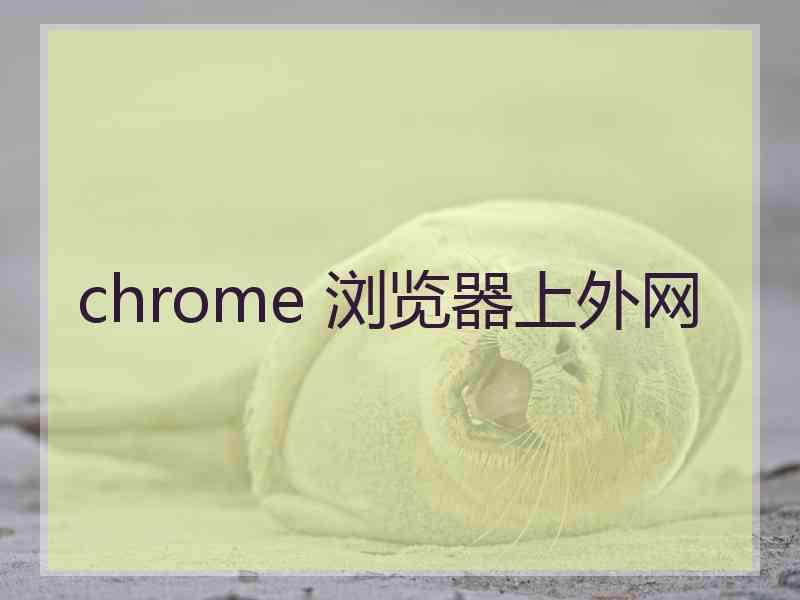 chrome 浏览器上外网