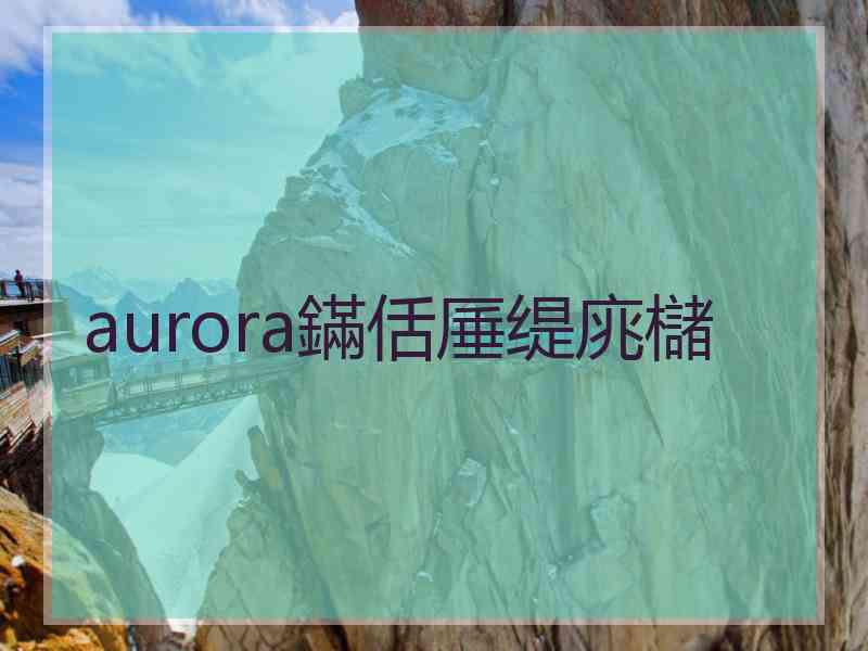 aurora鏋佸厜缇庣櫧