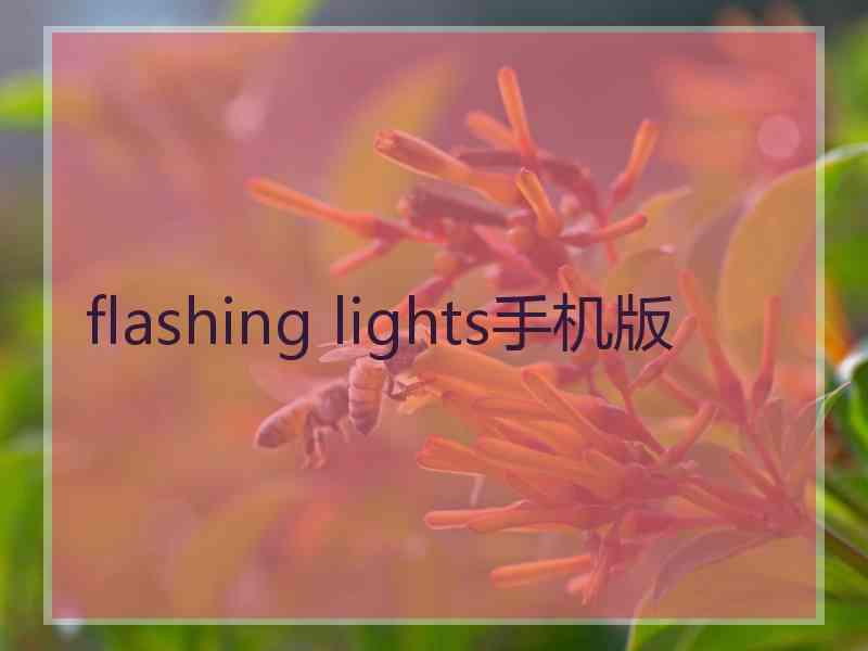 flashing lights手机版