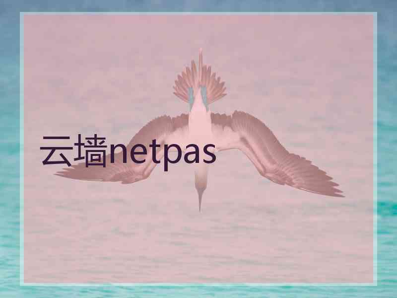 云墙netpas