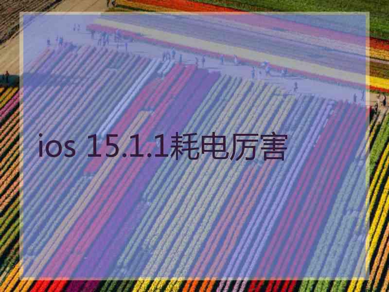 ios 15.1.1耗电厉害