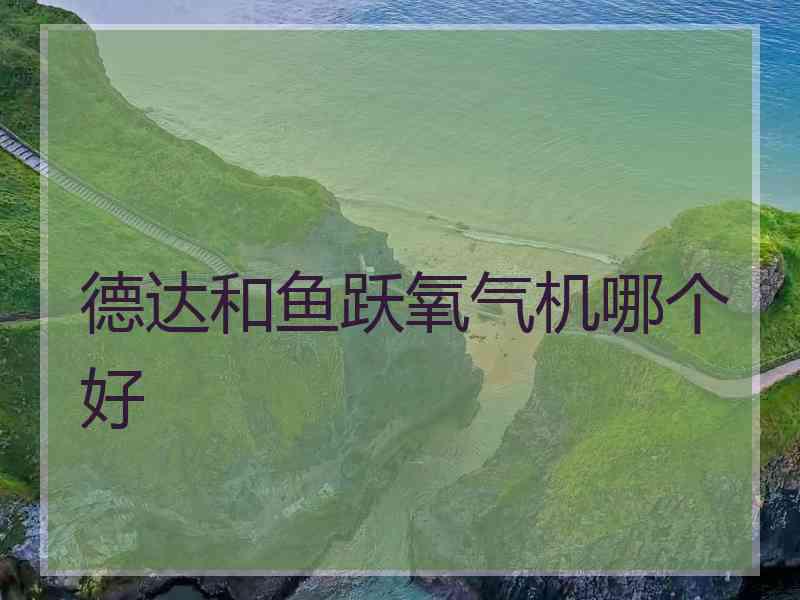 德达和鱼跃氧气机哪个好