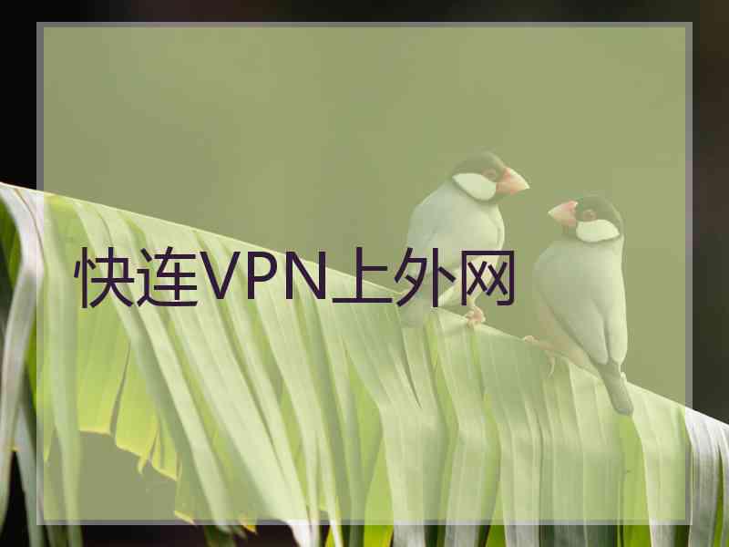 快连VPN上外网