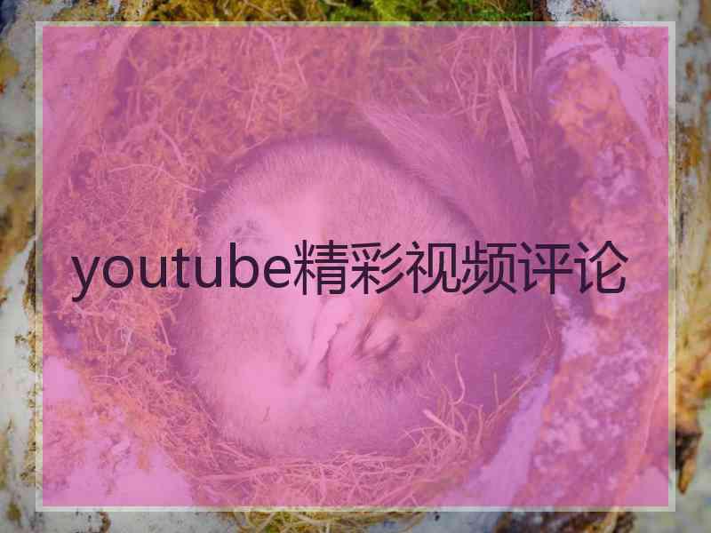 youtube精彩视频评论