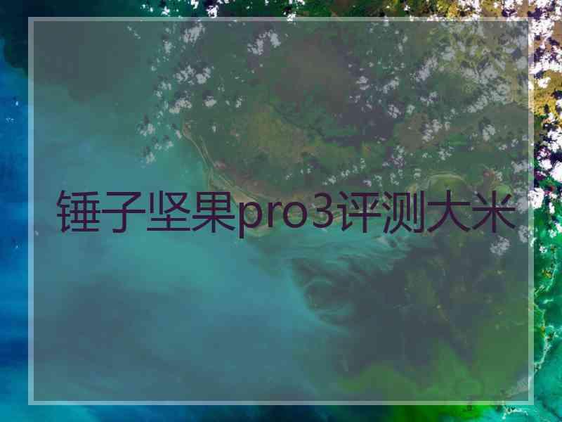 锤子坚果pro3评测大米