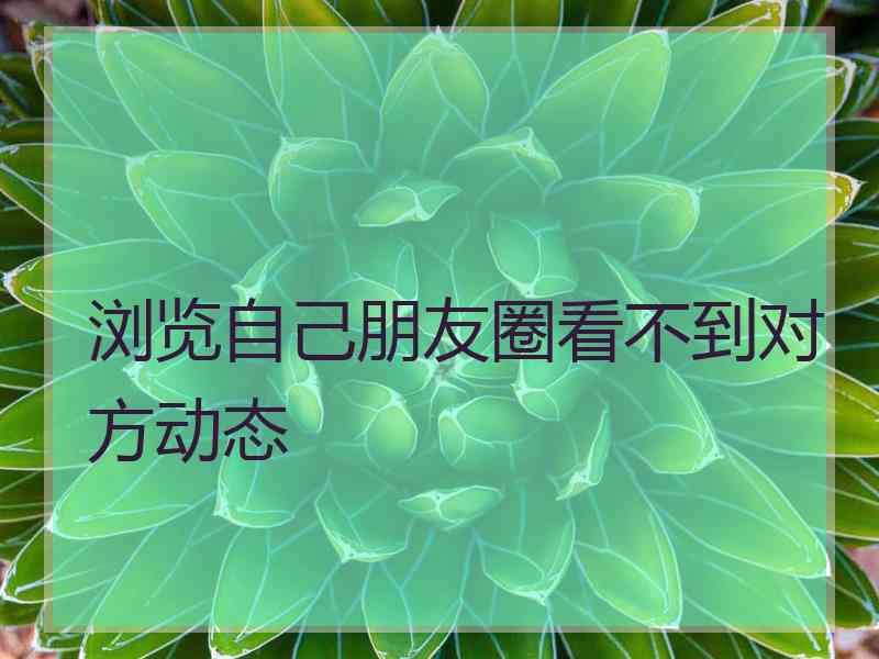 浏览自己朋友圈看不到对方动态