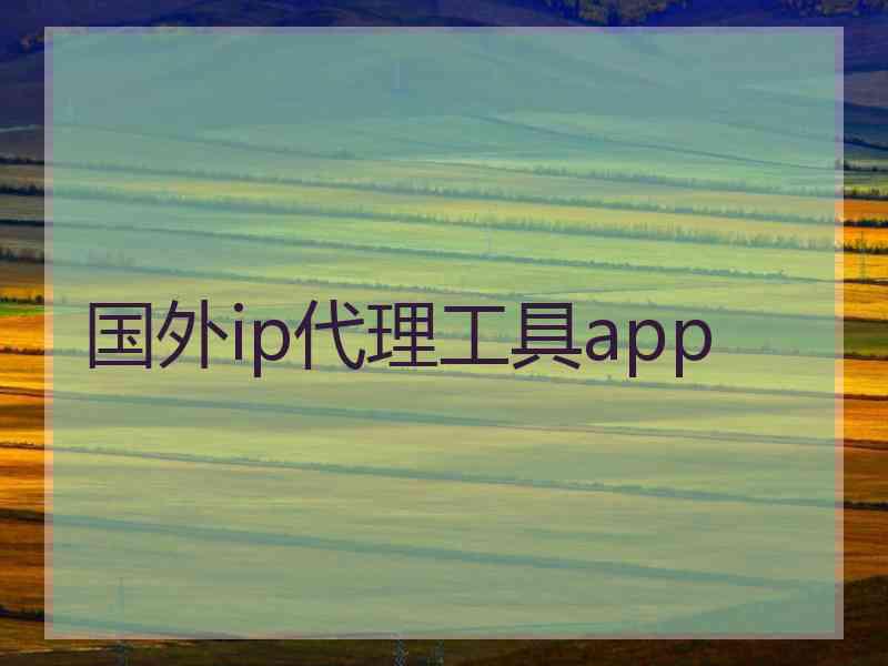 国外ip代理工具app