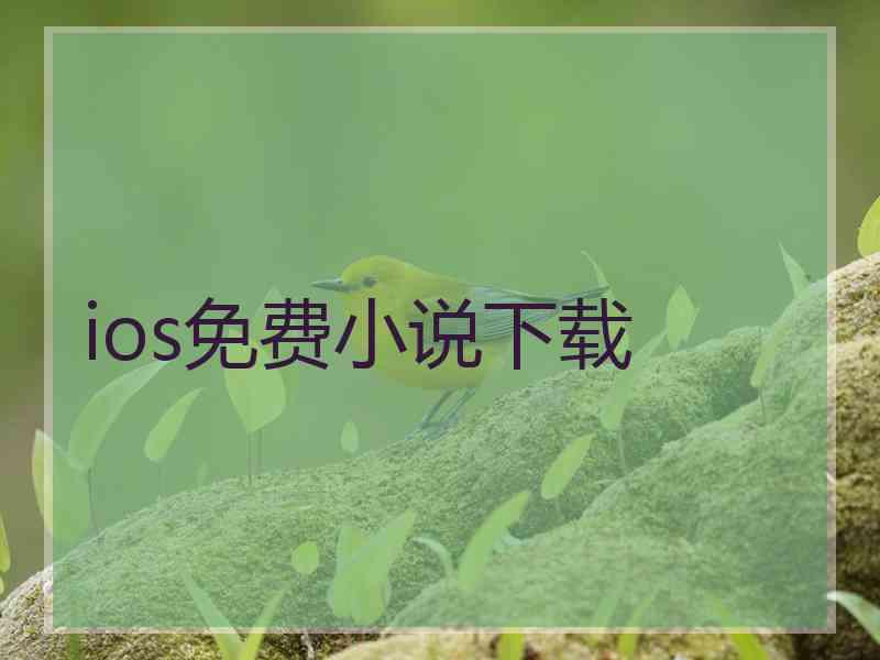 ios免费小说下载