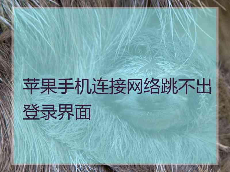 苹果手机连接网络跳不出登录界面