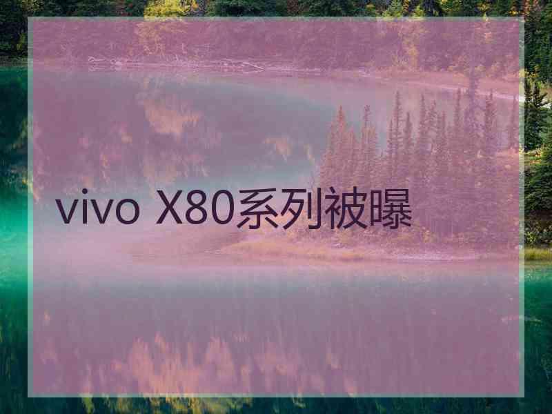 vivo X80系列被曝