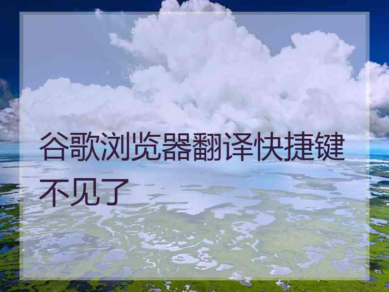 谷歌浏览器翻译快捷键不见了