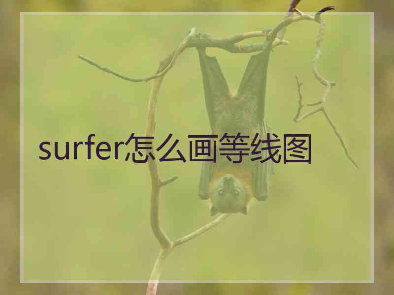 surfer怎么画等线图