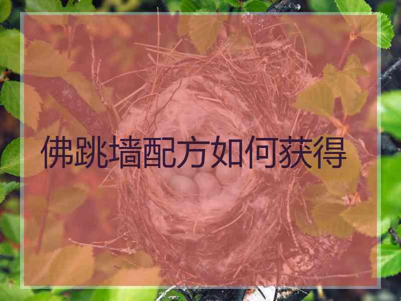 佛跳墙配方如何获得