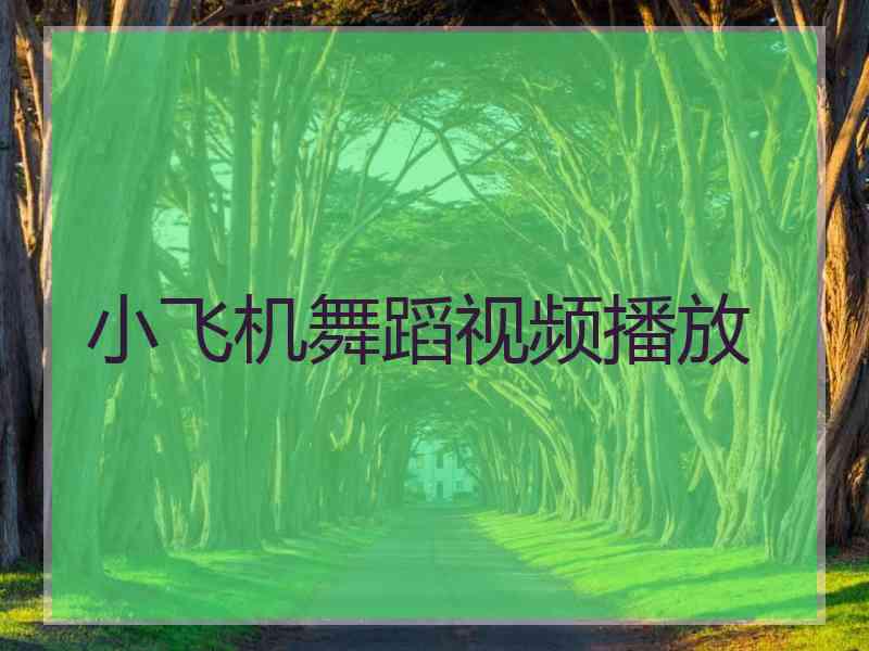 小飞机舞蹈视频播放