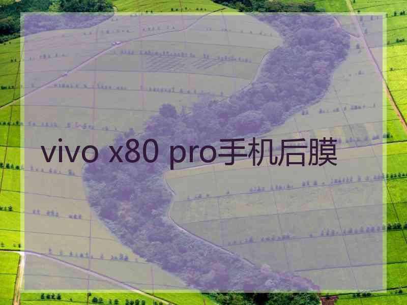 vivo x80 pro手机后膜