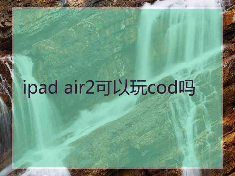 ipad air2可以玩cod吗