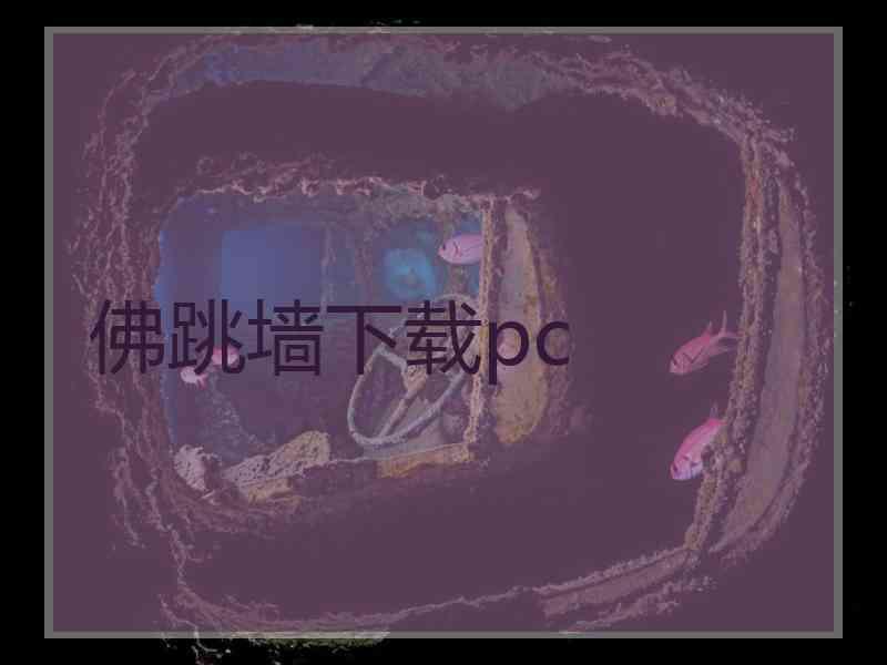 佛跳墙下载pc