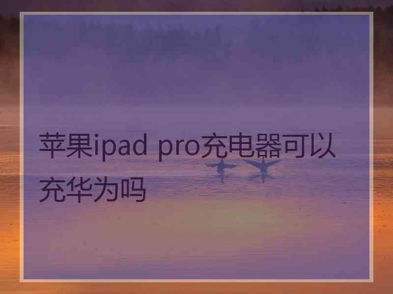 苹果ipad pro充电器可以充华为吗