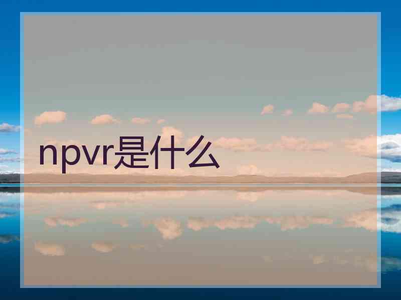 npvr是什么