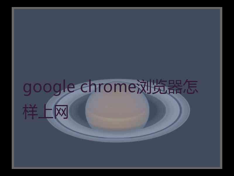 google chrome浏览器怎样上网