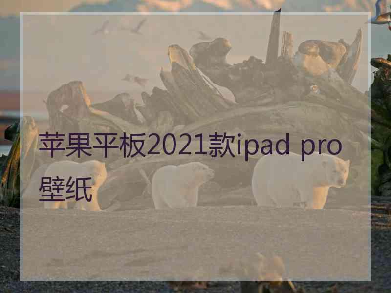 苹果平板2021款ipad pro壁纸