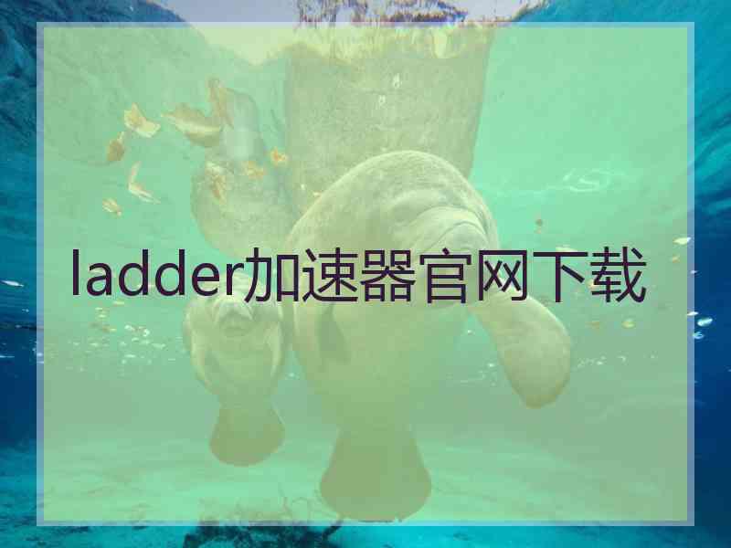 ladder加速器官网下载