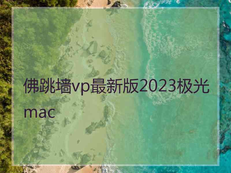 佛跳墙vp最新版2023极光 mac