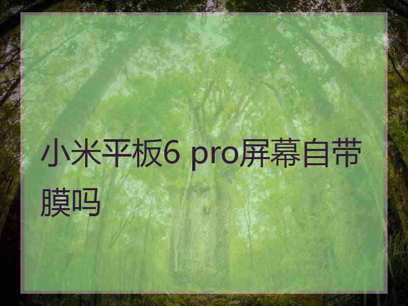 小米平板6 pro屏幕自带膜吗