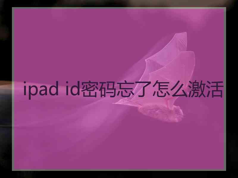 ipad id密码忘了怎么激活