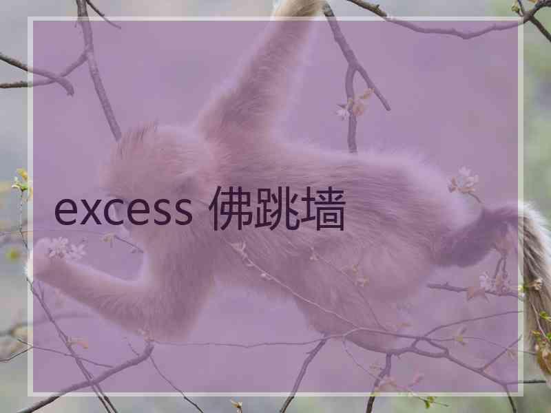 excess 佛跳墙