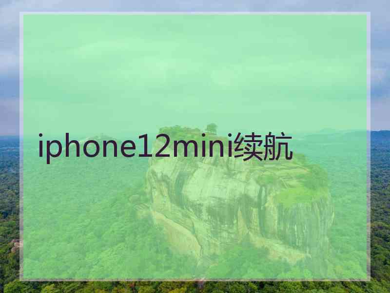 iphone12mini续航