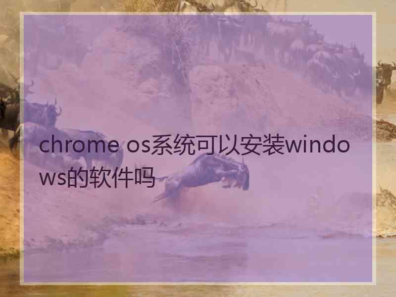 chrome os系统可以安装windows的软件吗