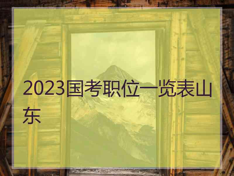 2023国考职位一览表山东