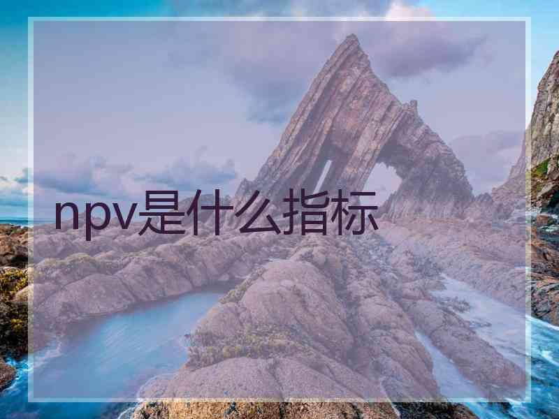 npv是什么指标