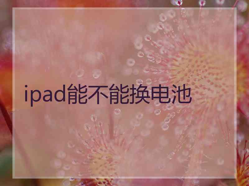 ipad能不能换电池