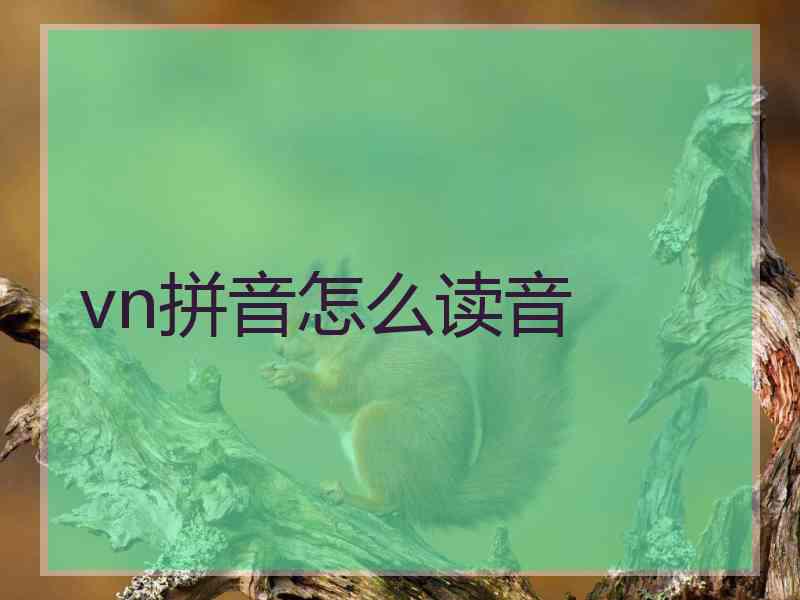 vn拼音怎么读音