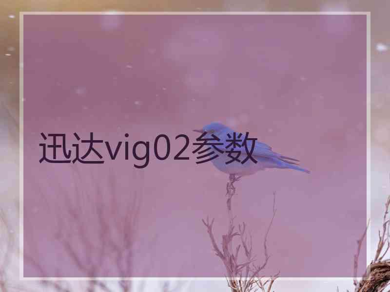 迅达vig02参数