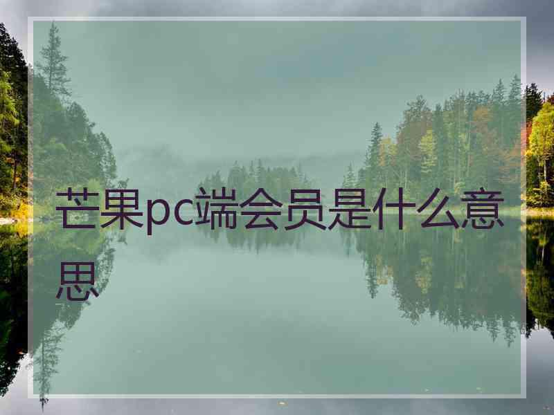 芒果pc端会员是什么意思