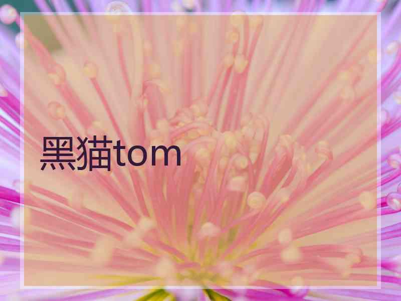 黑猫tom