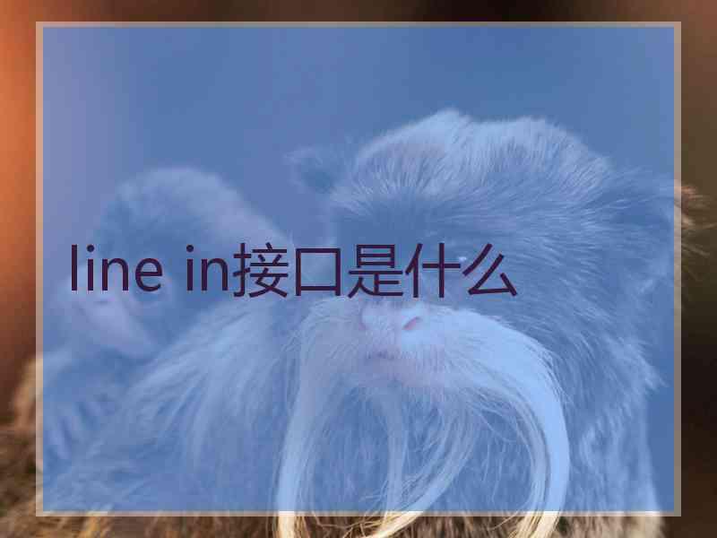 line in接口是什么