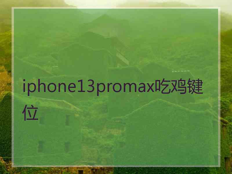 iphone13promax吃鸡键位