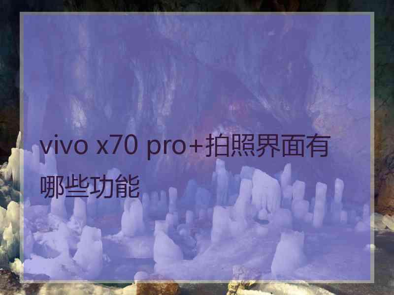 vivo x70 pro+拍照界面有哪些功能