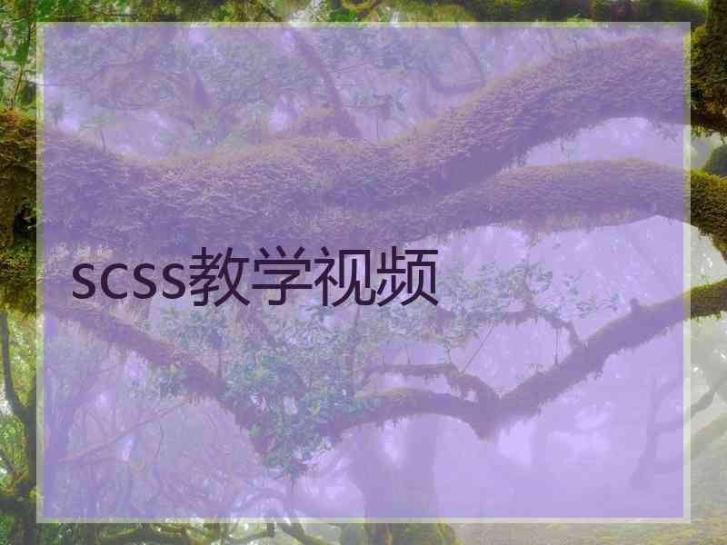 scss教学视频