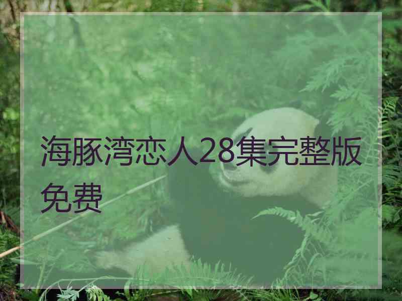 海豚湾恋人28集完整版免费