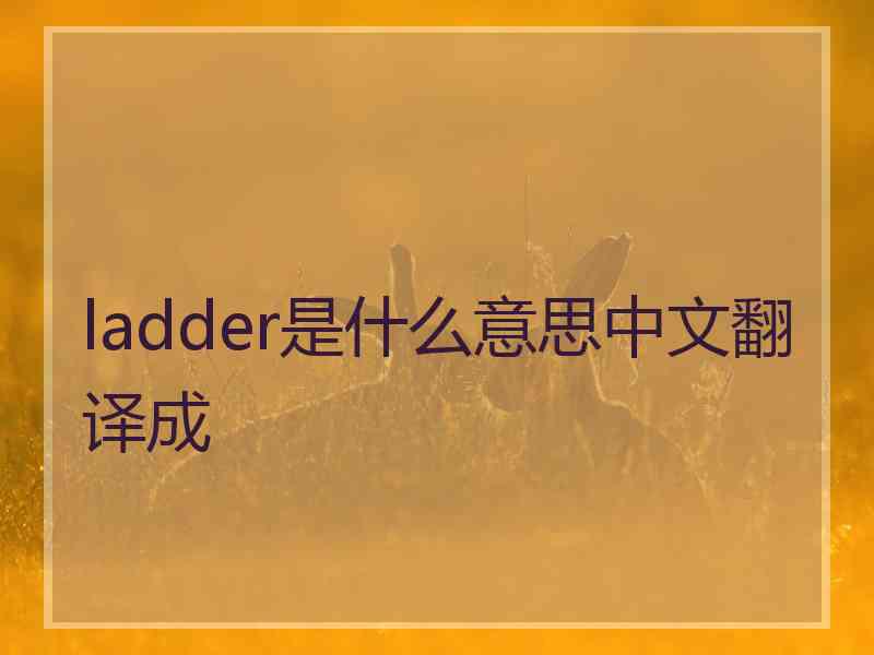 ladder是什么意思中文翻译成